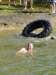 2011HWK 361_small.jpg